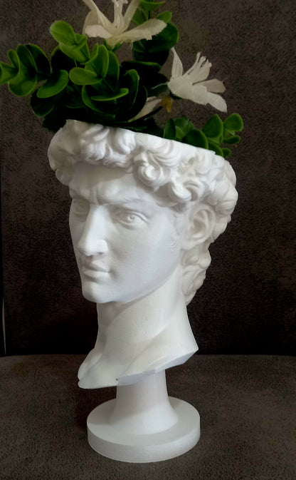 Maceta Busto de David en 3D - Arte Clásico con Sostenibilidad Moderna