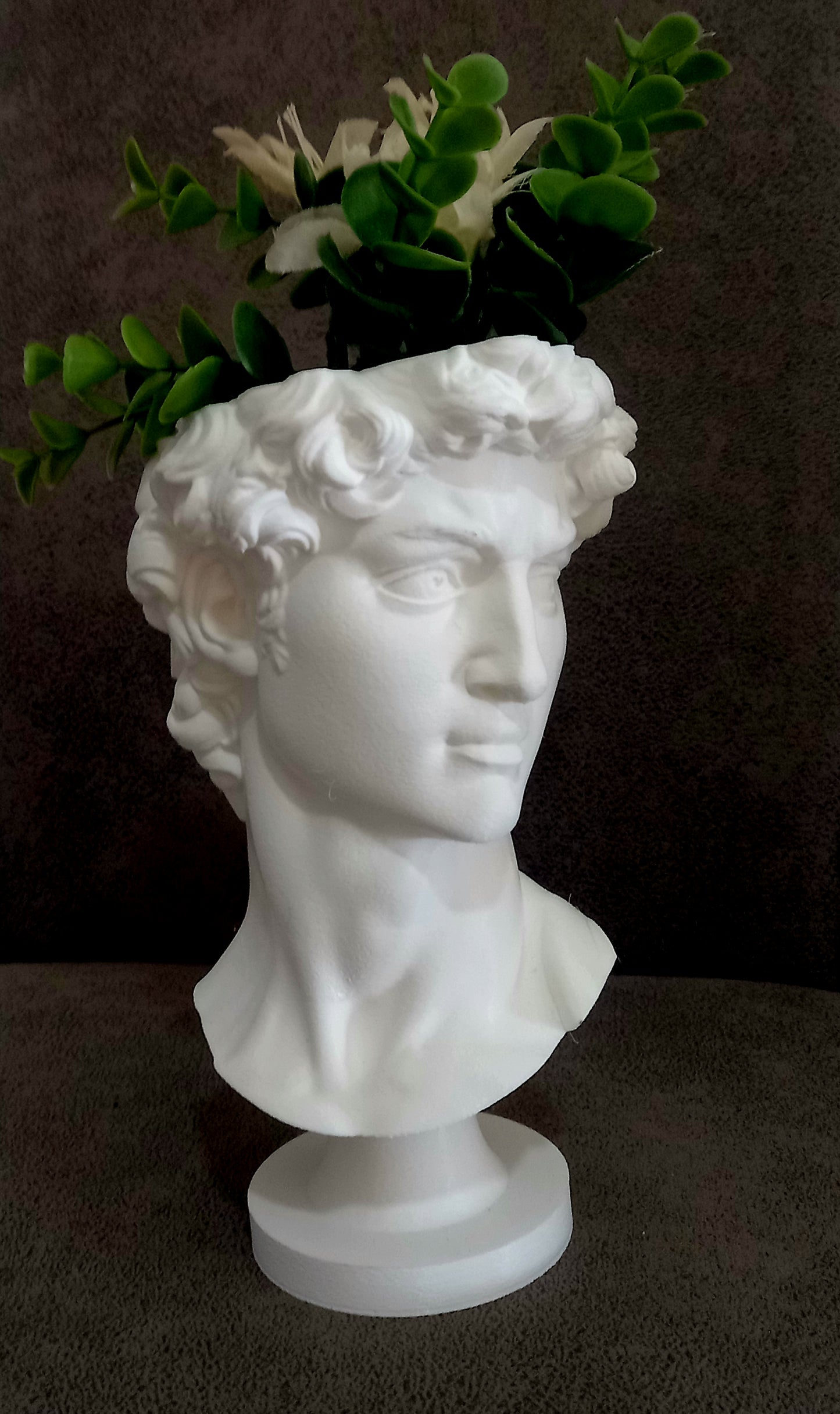 Maceta Busto de David en 3D - Arte Clásico con Sostenibilidad Moderna